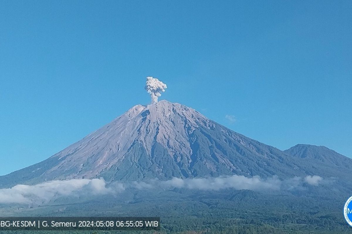Gunung Semeru erupsi dengan tinggi letusan hingga 600 meter