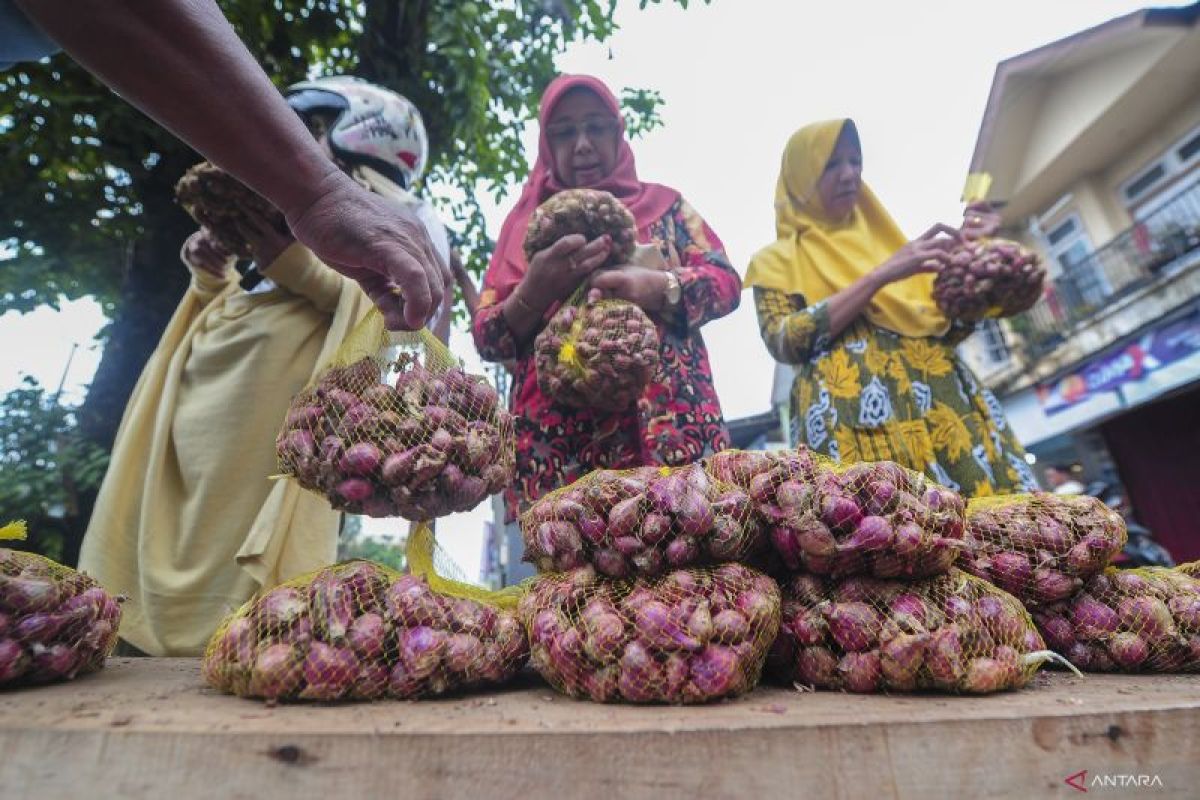 LPEM FEB UI: Inflasi Umum Turun Didukung Intervensi Aktif Pemerintah ...