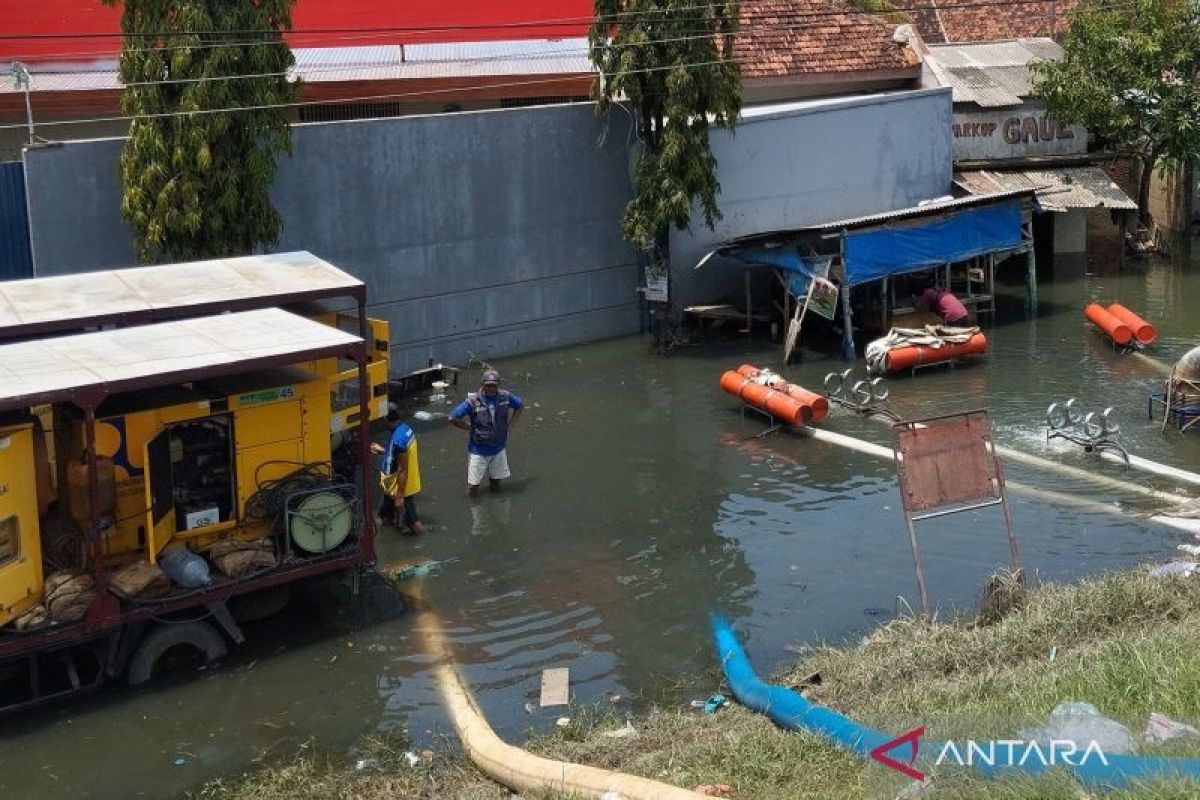 Pemkab Demak  segera bangun rumah pompa atasi rob di Sayung