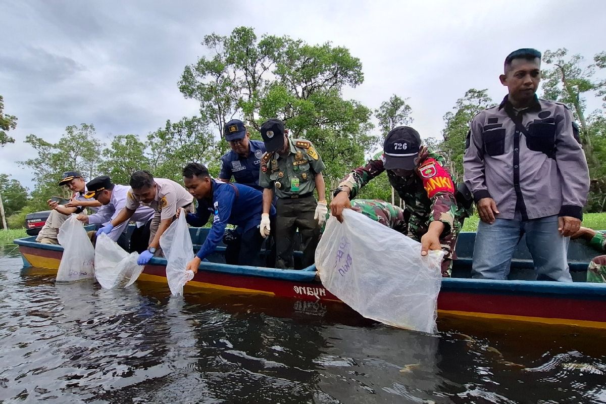 Karantina Papua Selatan melepasliarkan satwa endemik di TNW Merauke