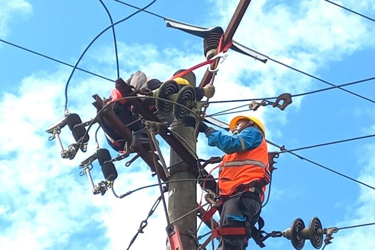 Foto - Petugas PLN lakukan pemeliharaan infrastruktur kelistrikan melalui GAES