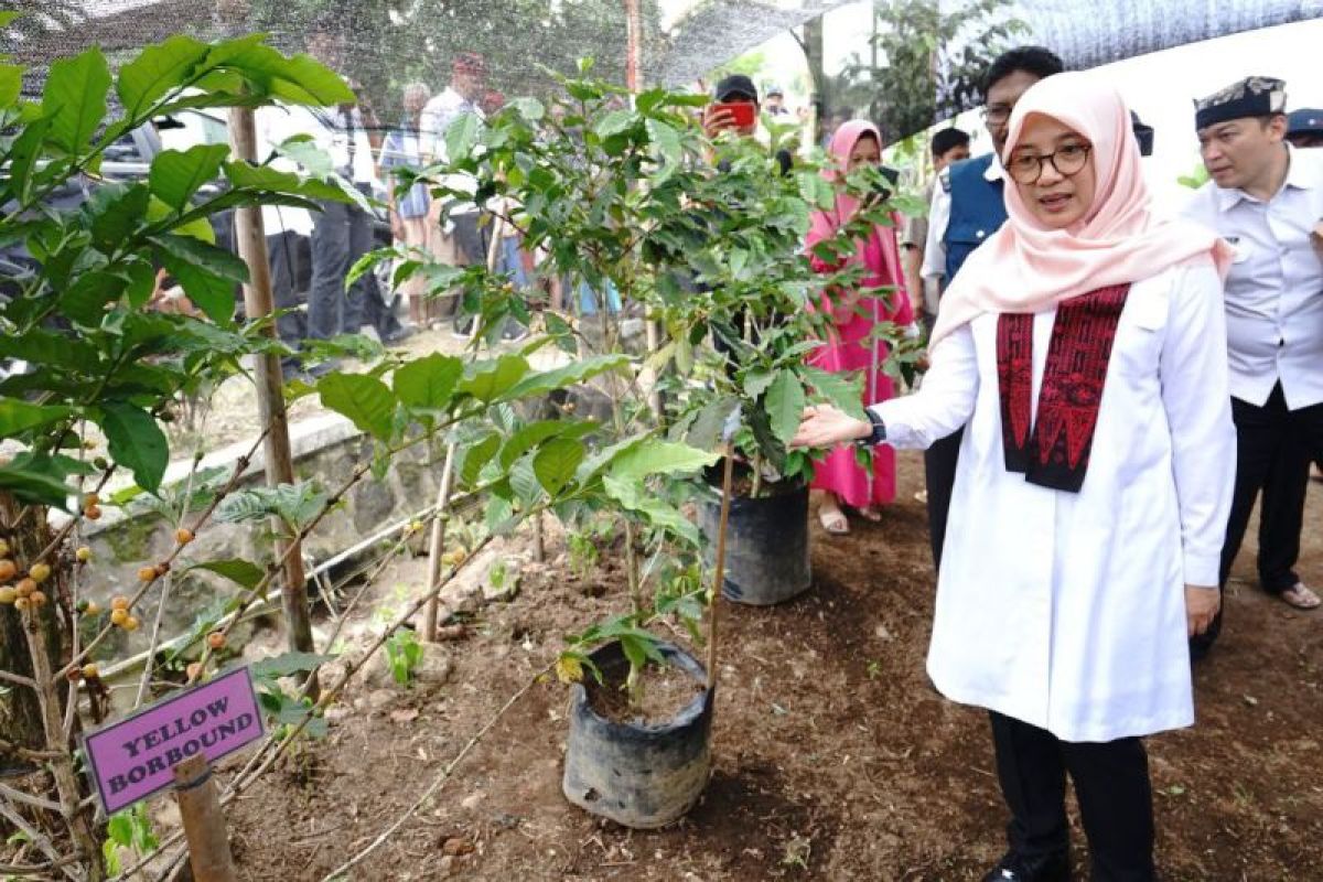 Pemkab Banyuwangi terus gali potensi ekonomi desa terutama pertanian