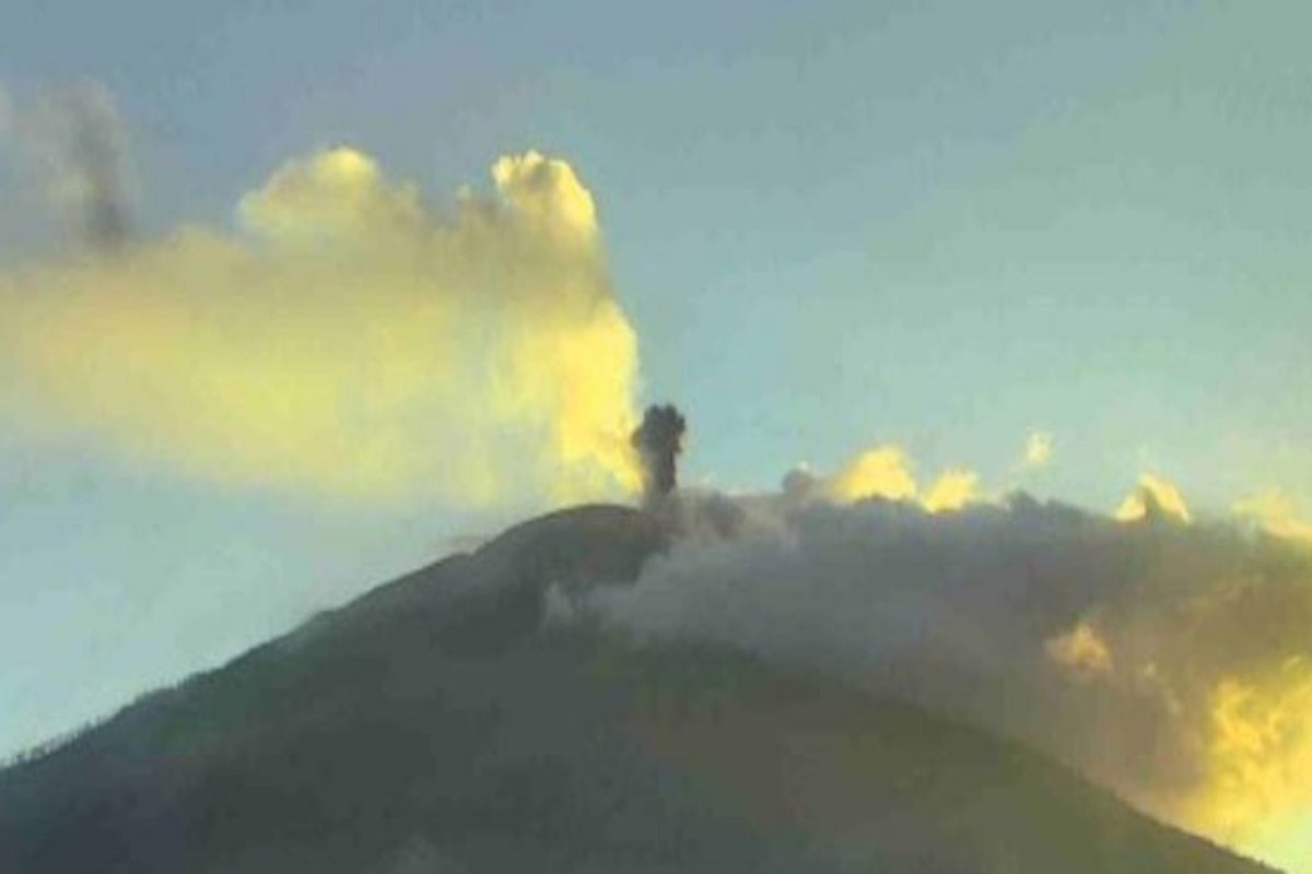 Gempa vulkanik Gunung Ile Lewotolok meningkat