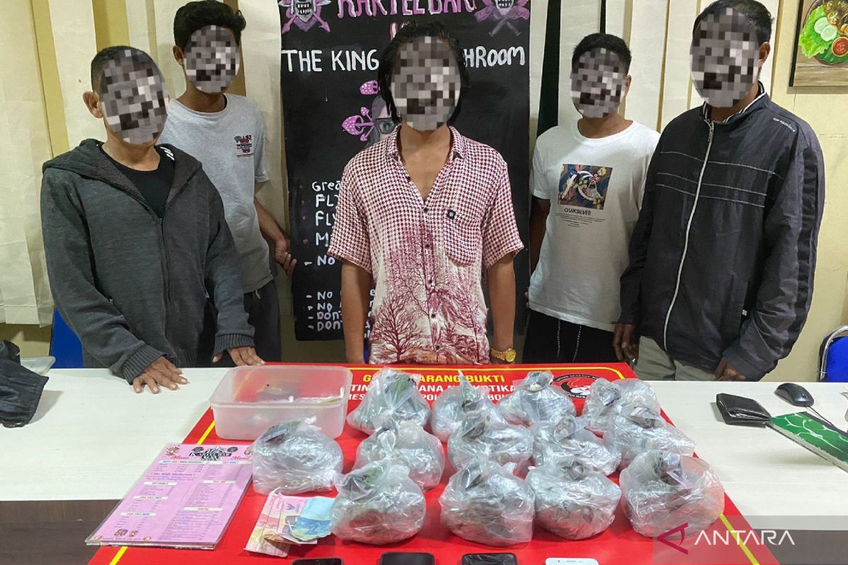 Polisi sita 2,2 kilogram jamur ajaib dari Gili Trawangan Lombok Utara