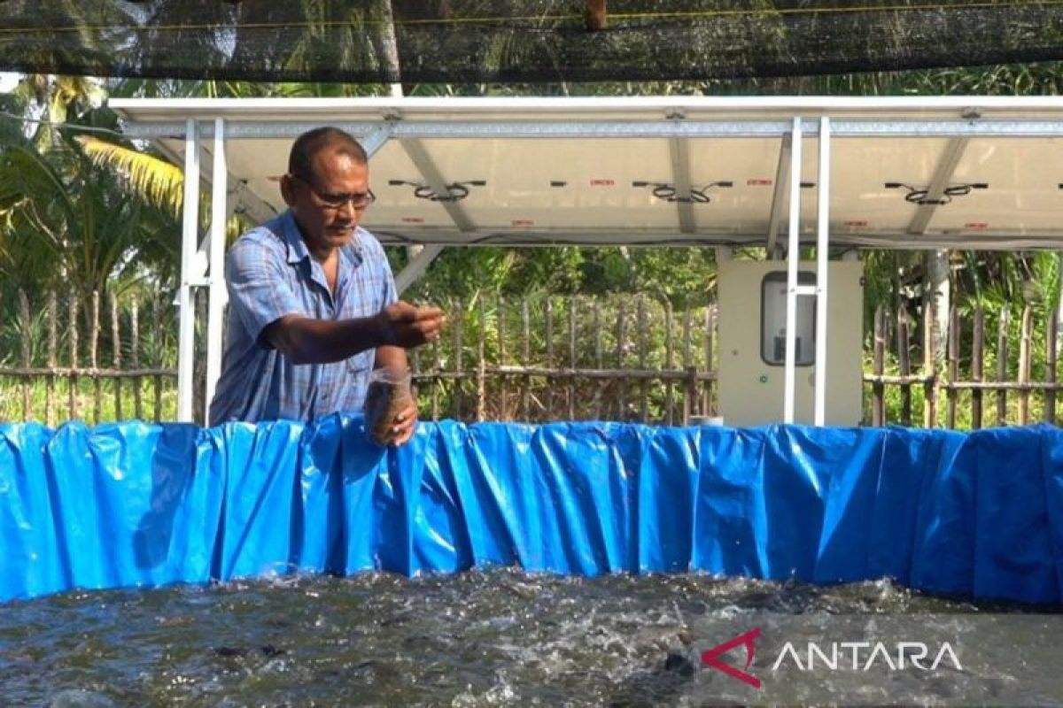 Inalum dukung budi daya perikanan darat manfaatkan energi mandiri PLTS