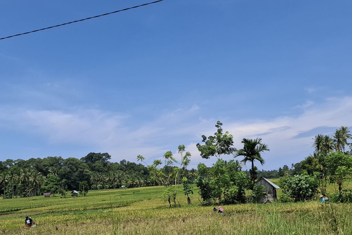 Pemprov Lampung latih petani bikin pupuk organik