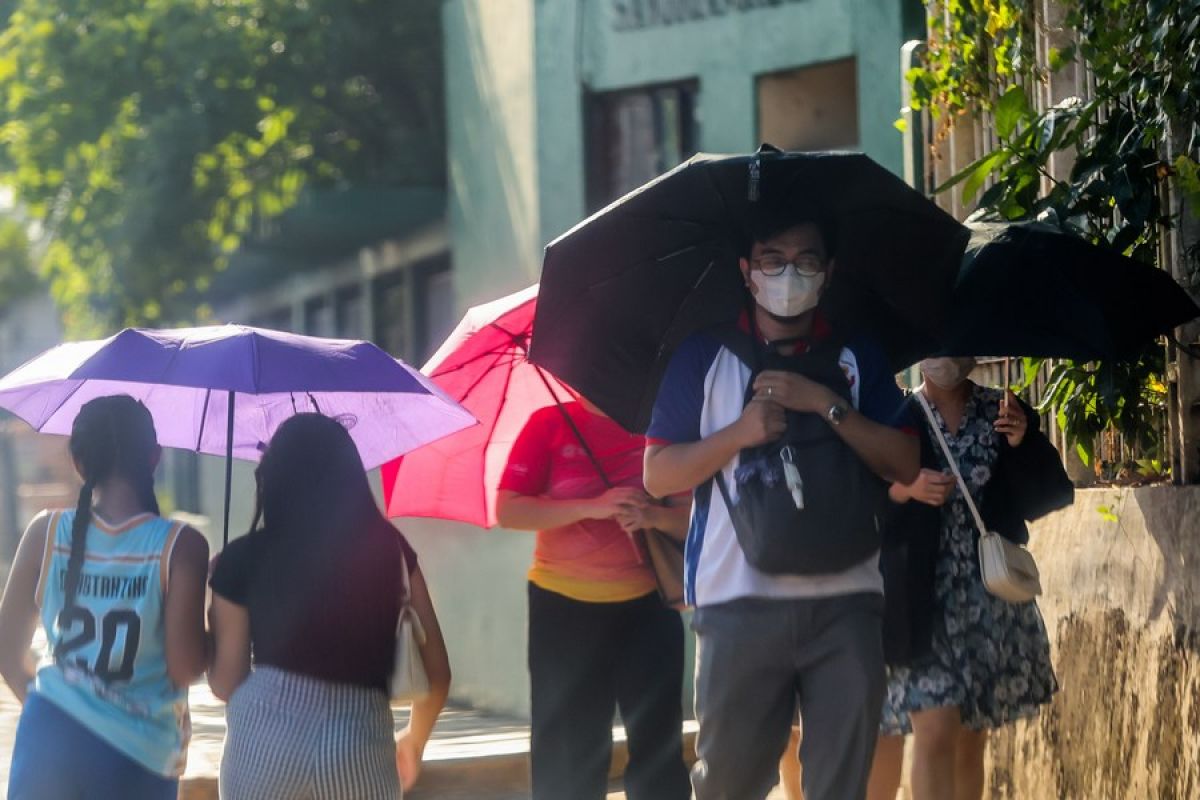 Sektor pertanian Filipina alami kerugian Rp1,6 triliun akibat El Nino