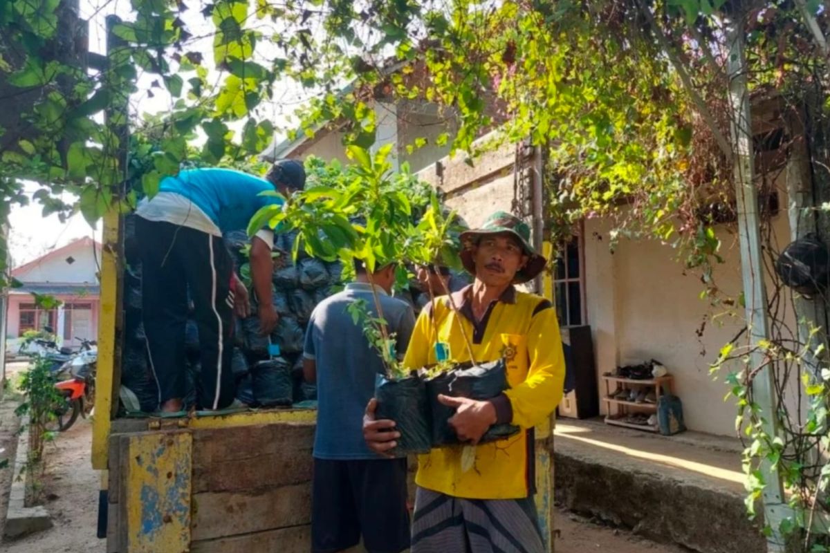 Dishut Lampung menyalurkan 3.960 bibit tanaman ke Kelompok Tani Hutan