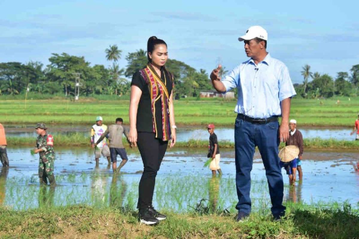 Mentan pastikan pertanaman padi di Sulsel berjalan baik