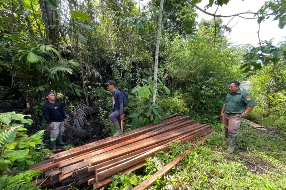 TNKS Bengkulu-Sumatera Selatan temukan kayu hasil pembalakan liar