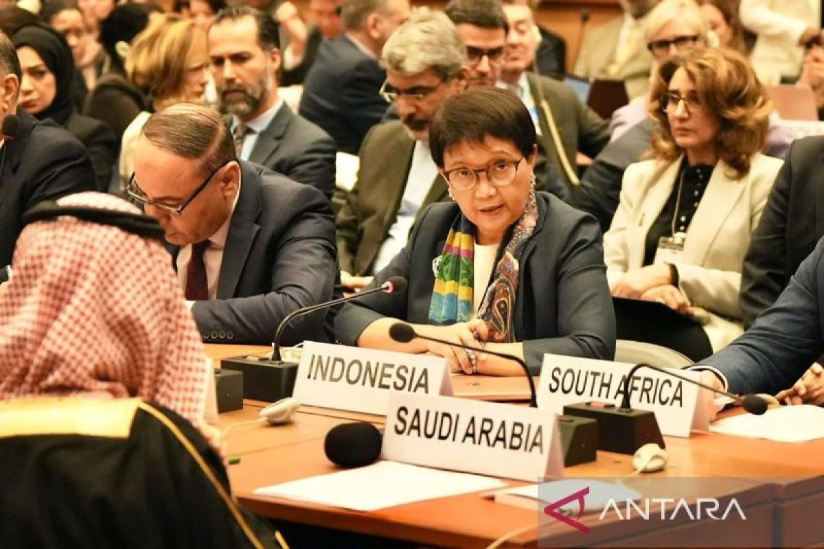 Indonesia dorong pemberian hak-hak istimewa bagi Palestina di PBB