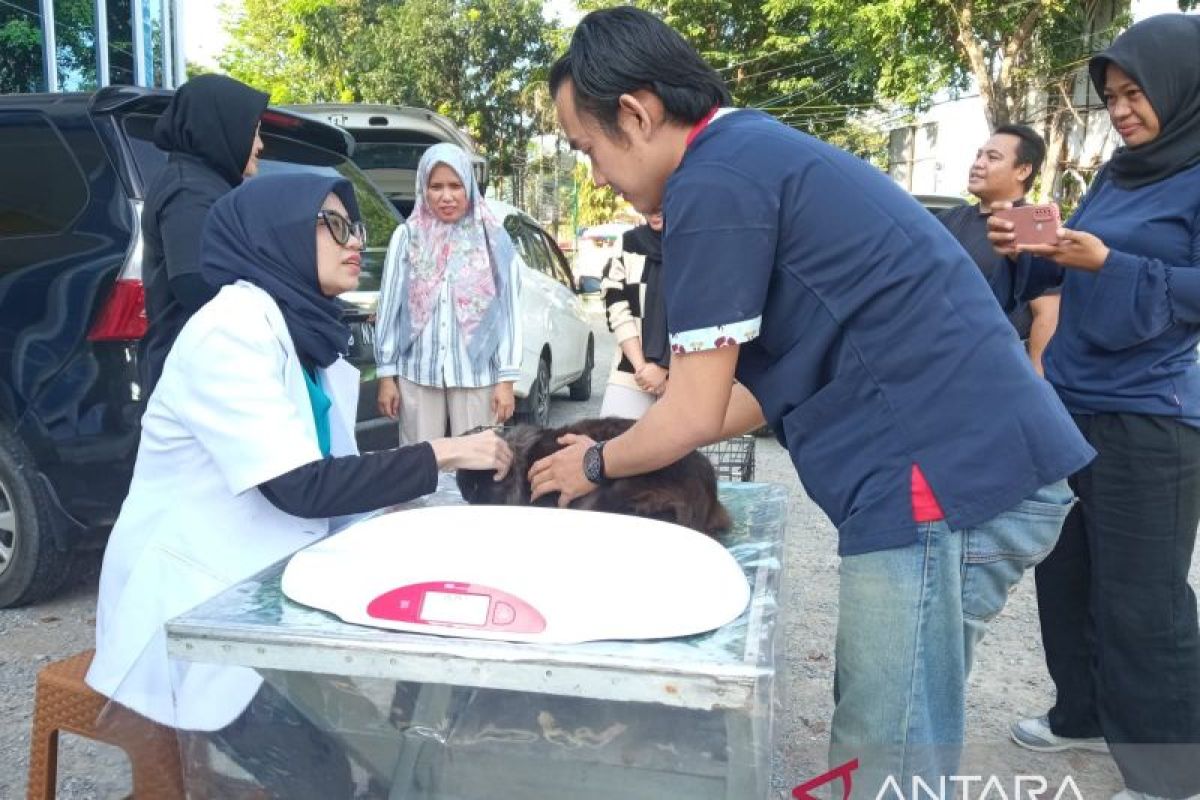 PDHI Jambi berikan layanan pemeriksaan hewan peliharaan secara gratis