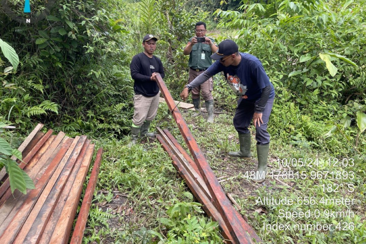 TNKS Bengkulu-Sumsel kembangkan pengusutan temuan kayu ilegal