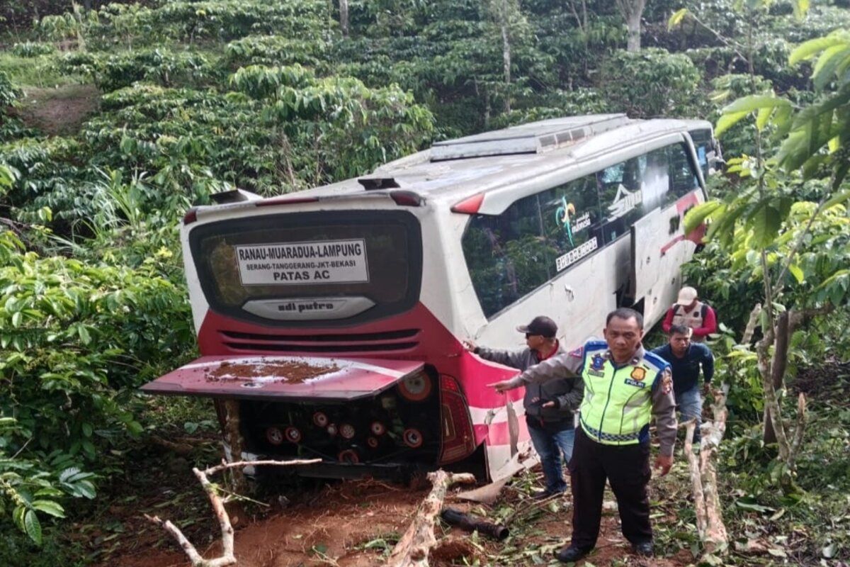 Kecelakaan tunggal, bus masuk jurang di Lintas Liwa Lampung Barat