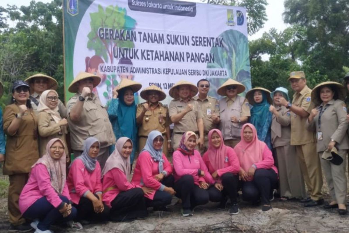 Pulau Seribu tanam 247 bibit pohon sukun untuk ketahanan pangan