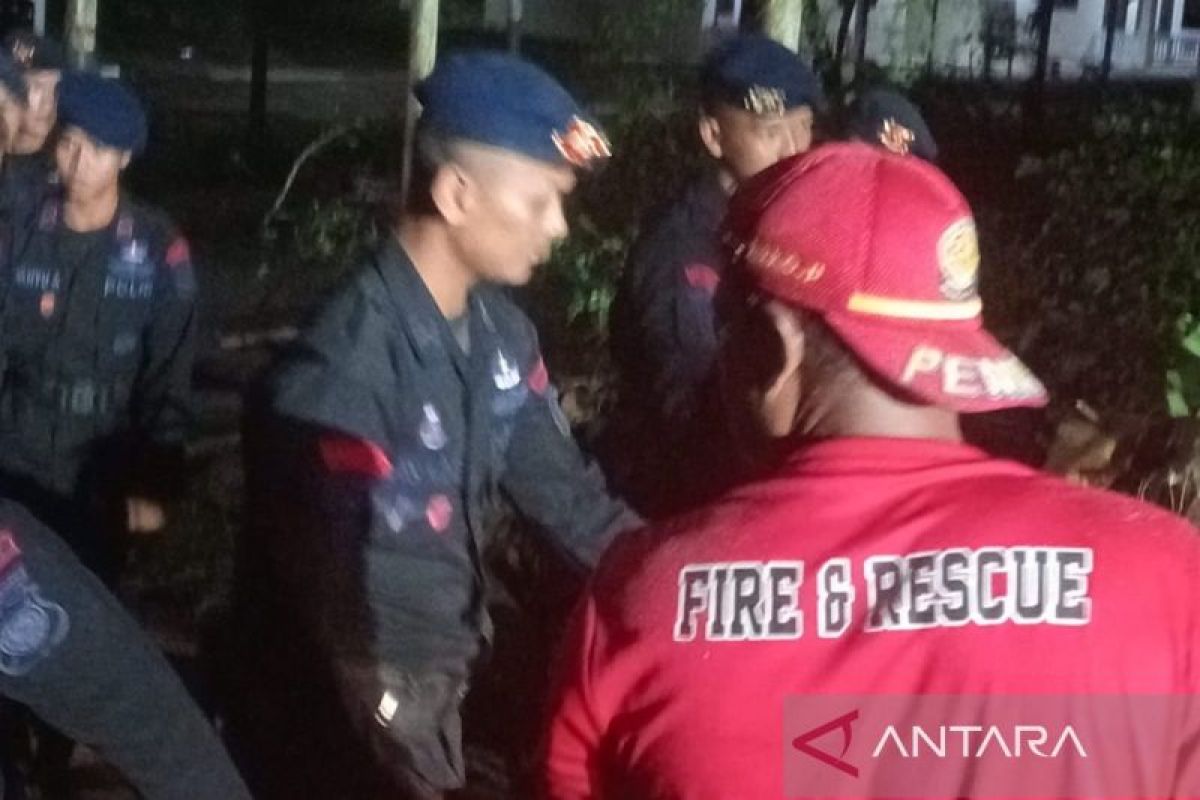 Personel BPBD - Satbrimob evakuasi pohon tumbang di dekat rumdin Kapolres Belitung