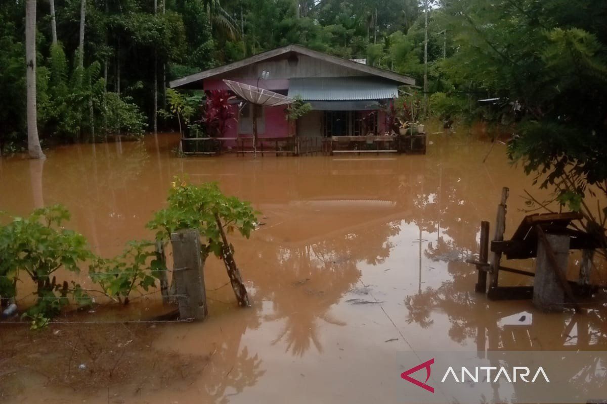 Ribuan Warga Terdampak Banjir Dipicu Hujan Tinggi Di Aceh Jaya - ANTARA ...