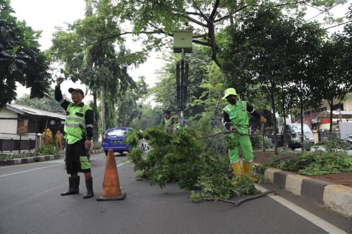Warga Kota Tangerang diimbau manfaatkan layanan pangkas pohon gratis