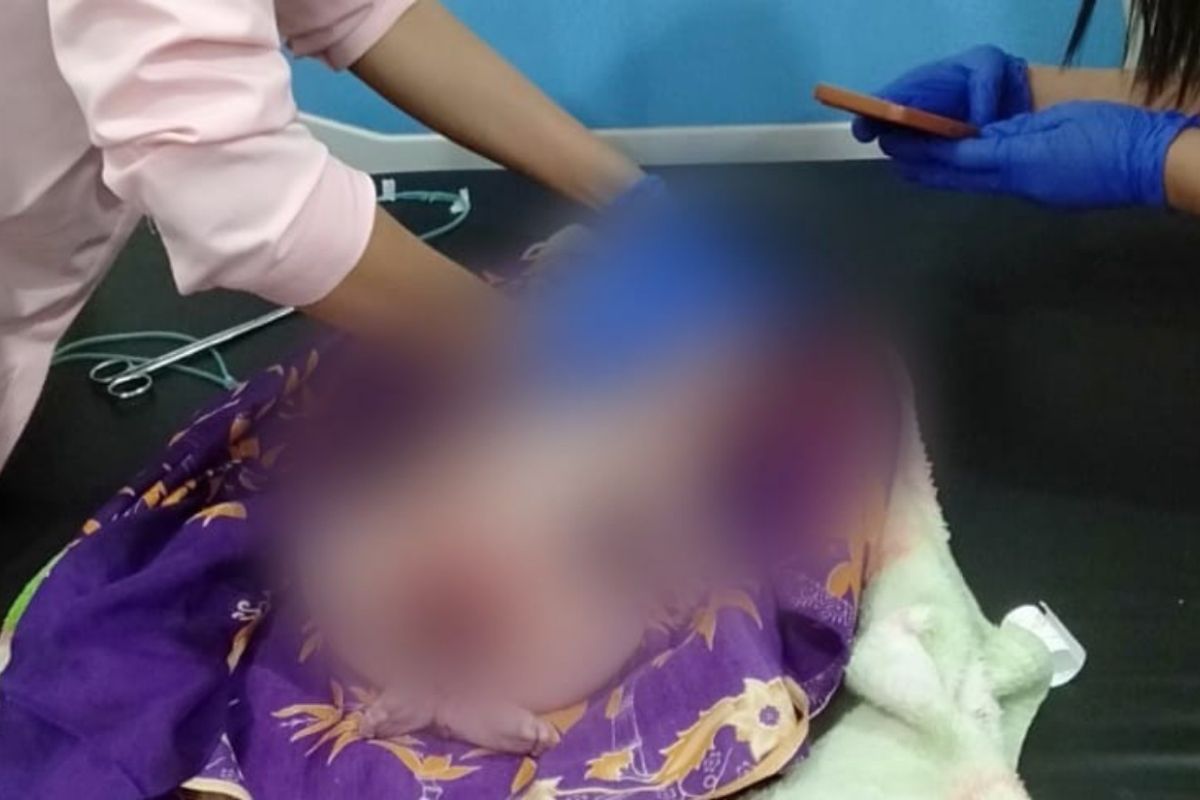 Bayi dibuang di semak akhirnya meninggal