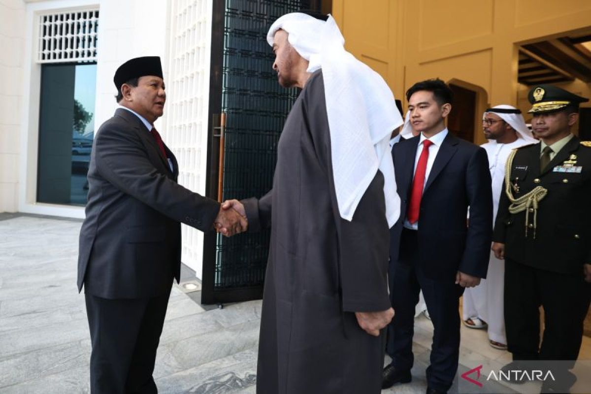 Prabowo discusses defense cooperation with UAE Presidet