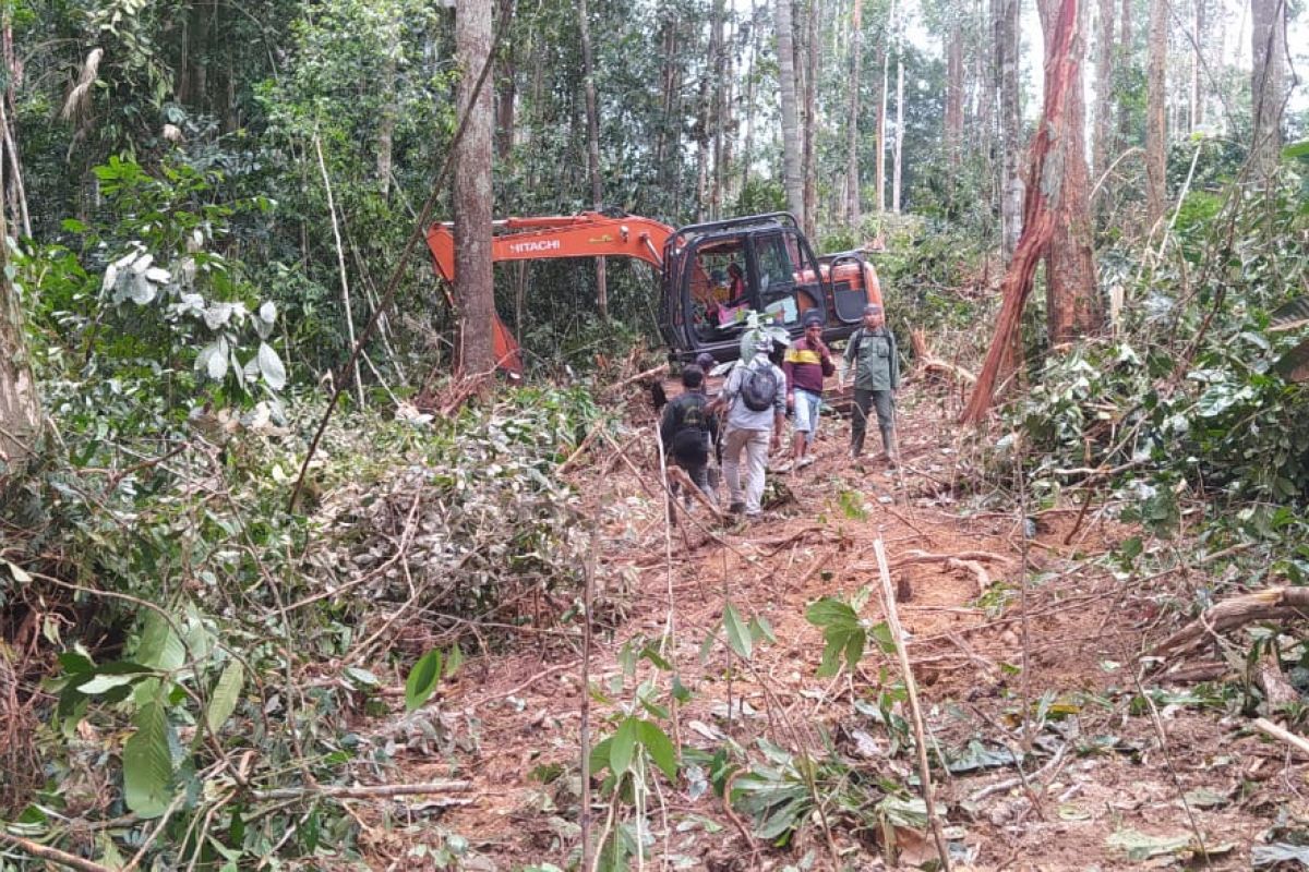 Gakkum KLHK serahkan mantan Kades Keritang tersangka perambahan hutan TN Bukit Tigapuluh