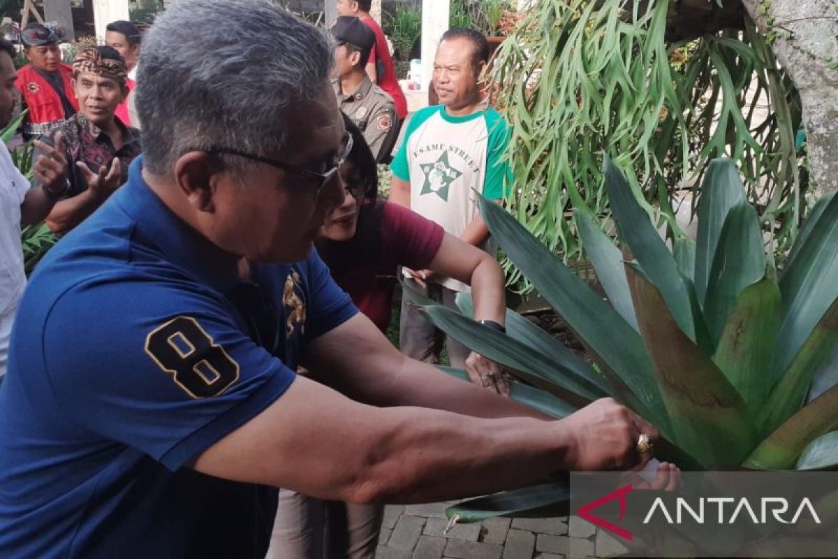 Pemkab Gianyar berantas sarang nyamuk karena kasus DBD meningkat