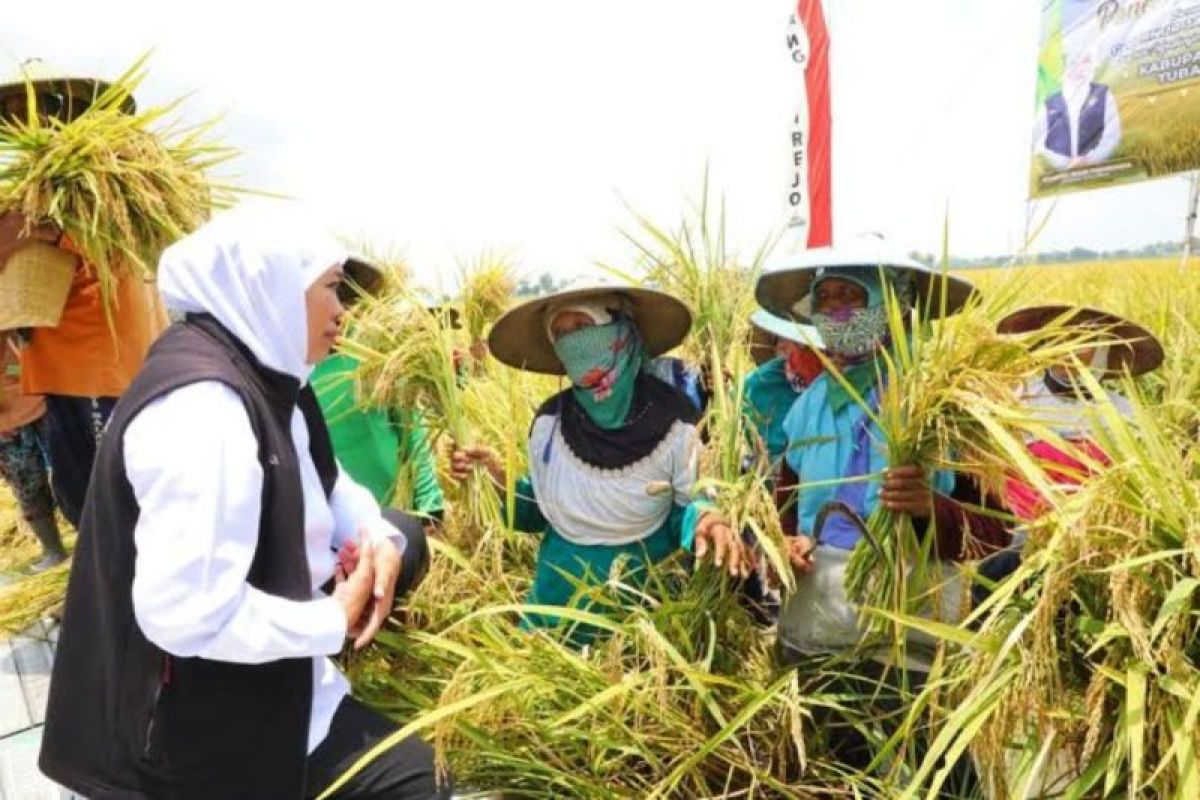 Khofifah optimistis kesejahteraan dan produktivitas petani meningkat