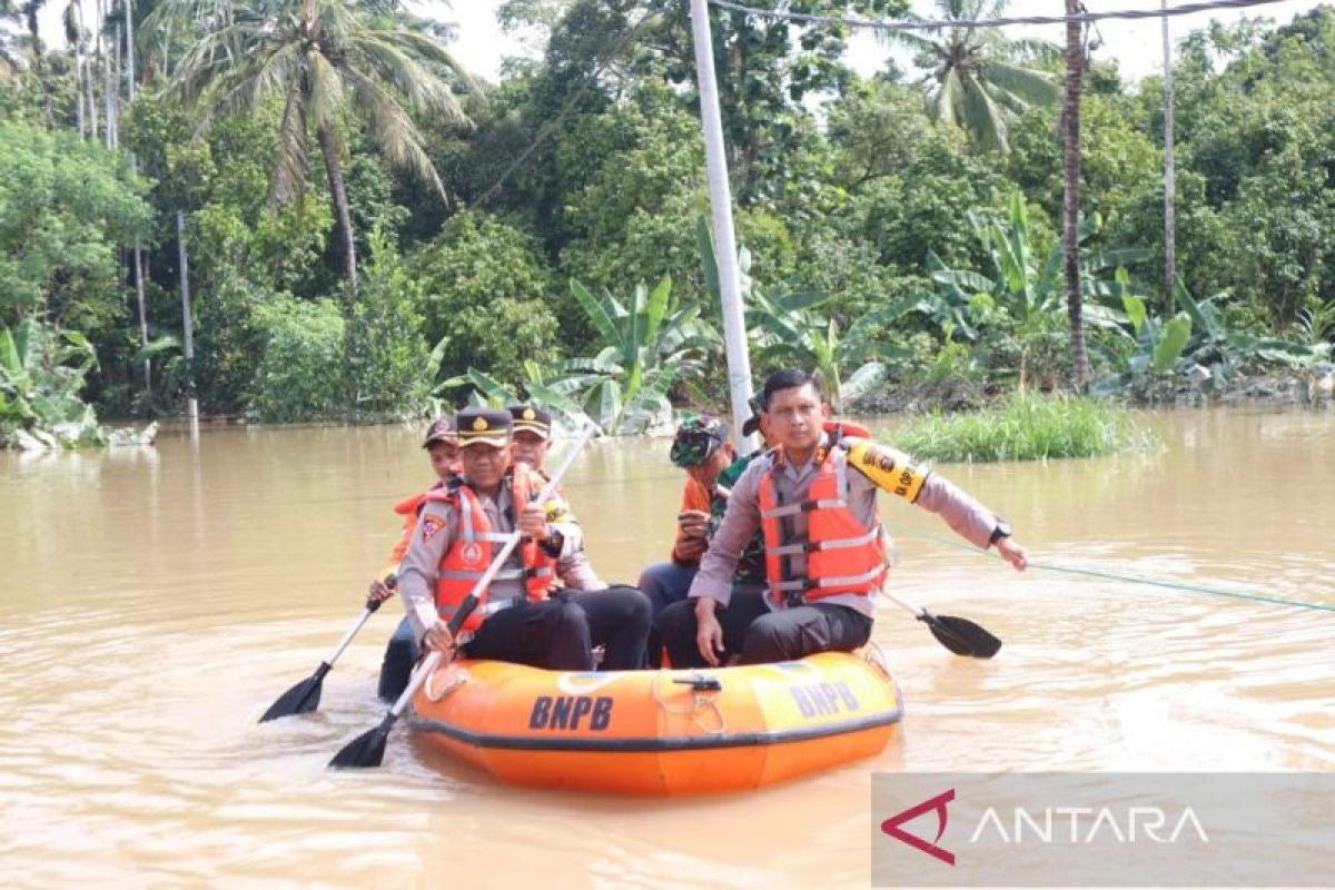 Kadis Pertanian Sumsel catat belum ada  padi rusak akibat banjir di OKU