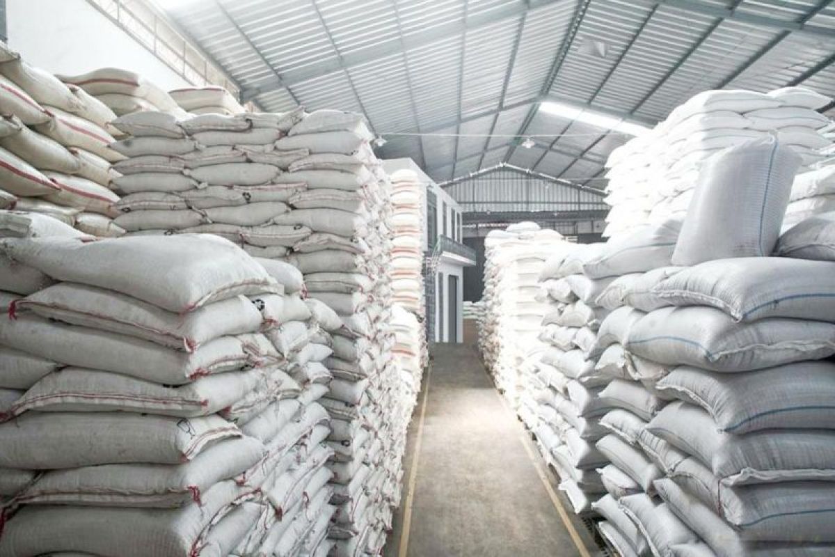 Produsen: Perlu perkuat distribusi antisipasi kenaikan konsumsi beras