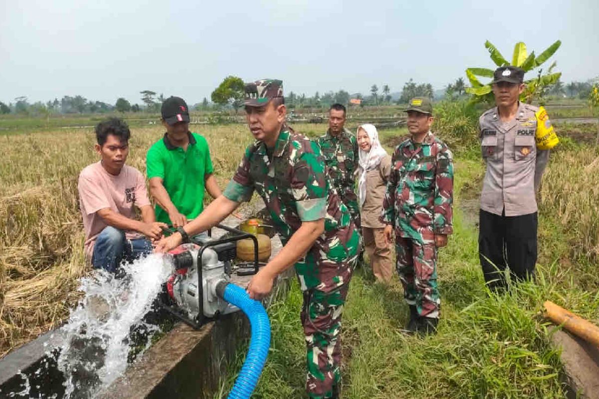 Satgas Pangan TNI dukung optimalisasi program pompanisasi Kementan wujudkan ketahanan pangan