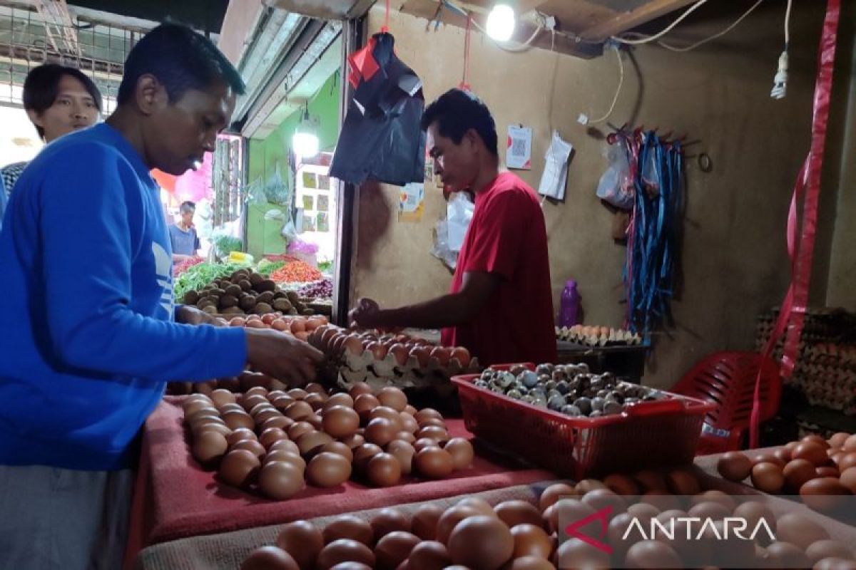 Harga telur ayam di Kota Bengkulu capai Rp60 ribu per karpet