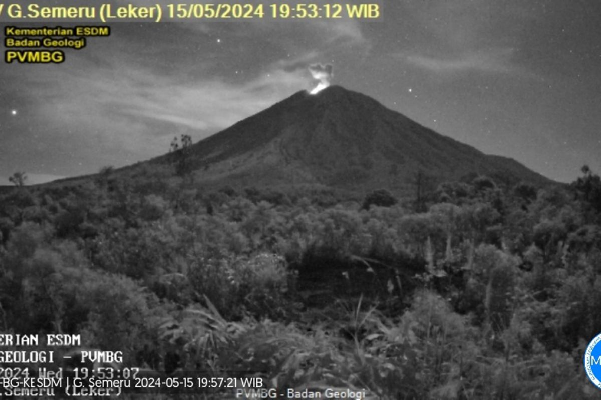 Gunung Semeru kembali erupsi dengan letusan setinggi 600 meter