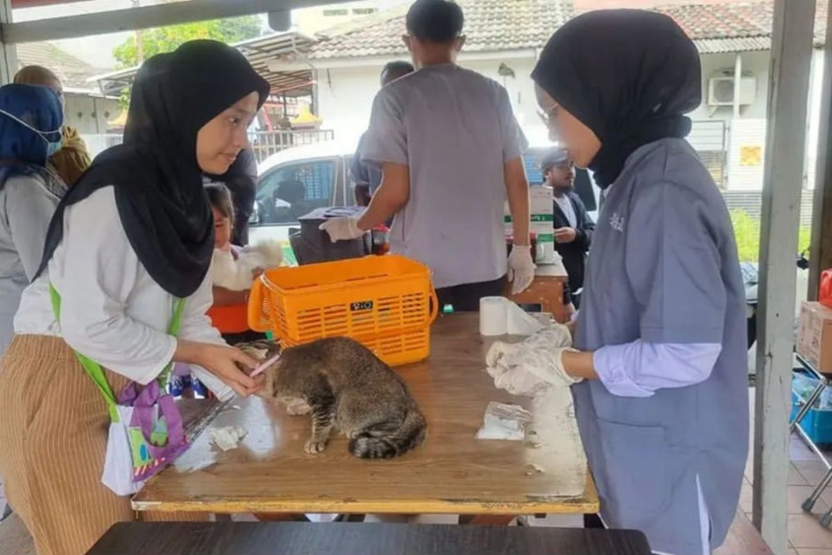 DKP Tangerang: Masyarakat bisa ajukan vaksinasi rabies kolektif ke kelurahan