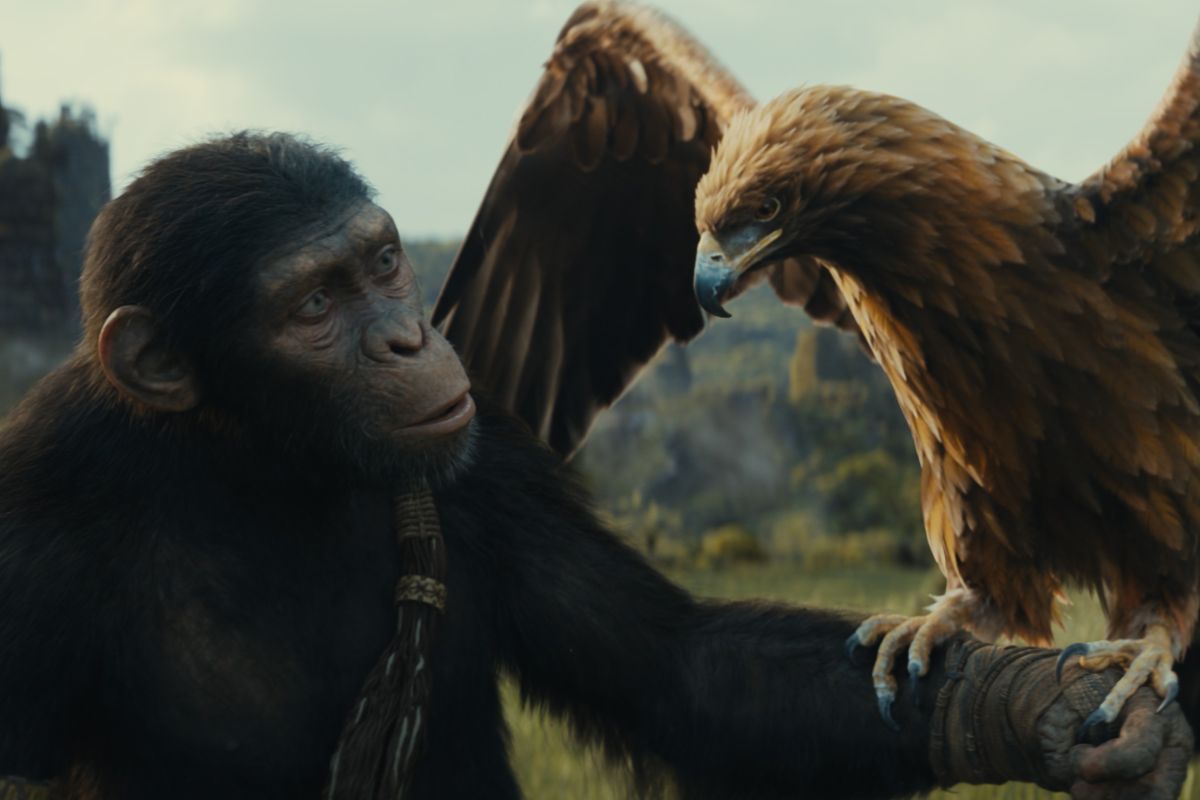 Simak lima fakta menarik film Kingdom of the Planet of the Apes - ANTARA