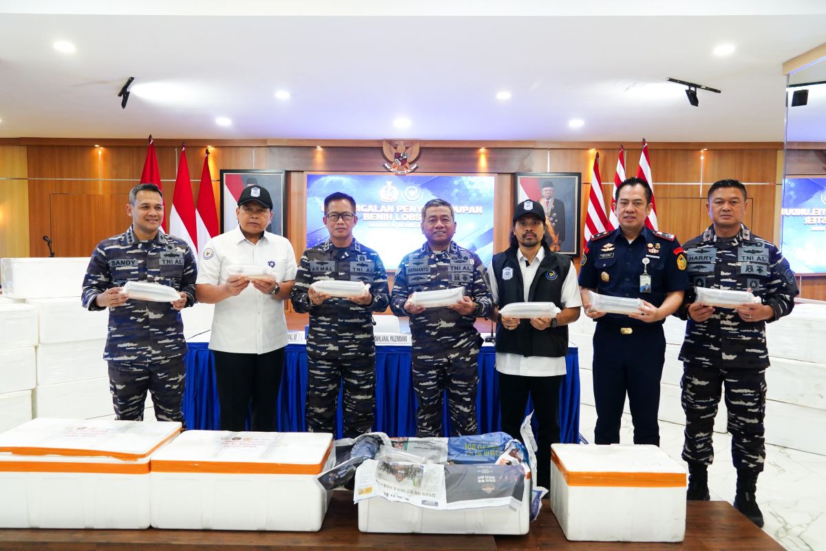 KKP tangani hasil penyelundupan sekitar 200 ribu benih bening lobster