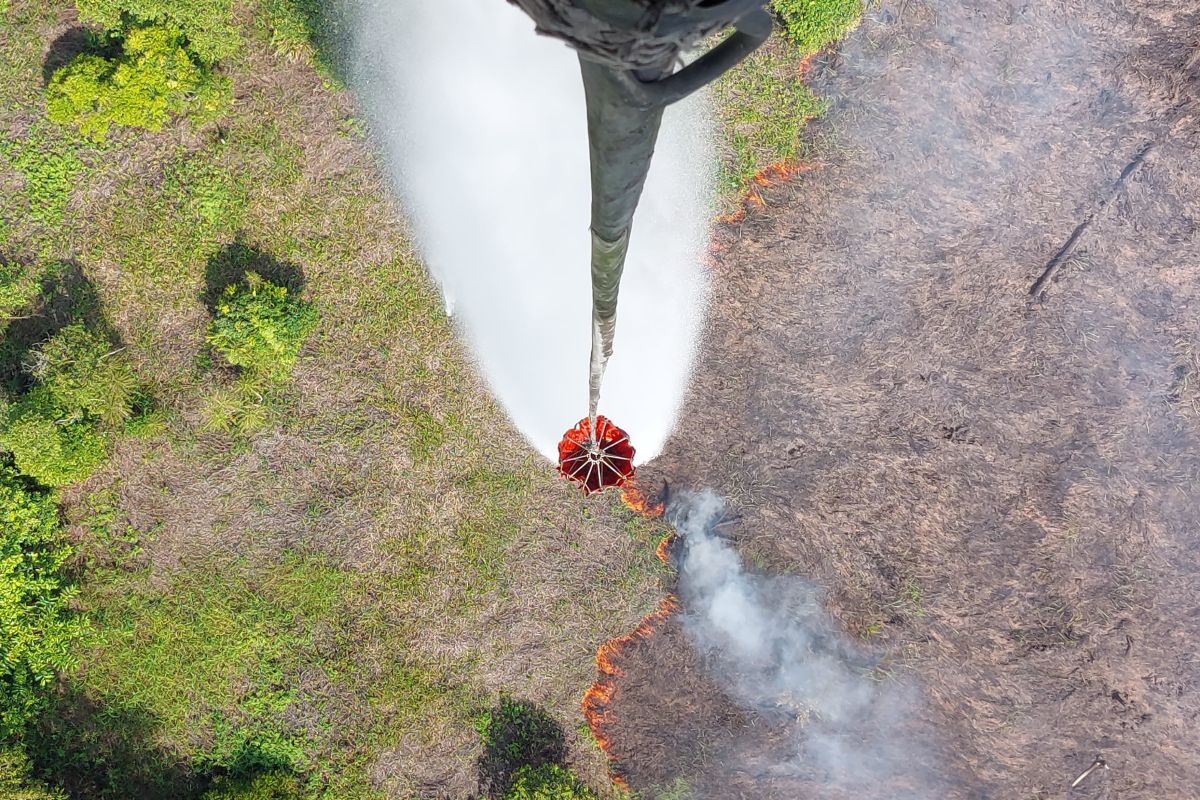 Sinar Mas Grup di Jambi kerahkan dua unit helikopter padamkan api