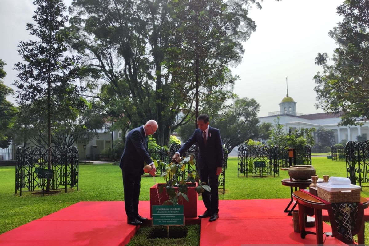 President Widodo receives visit of Australian Governor General Hurley
