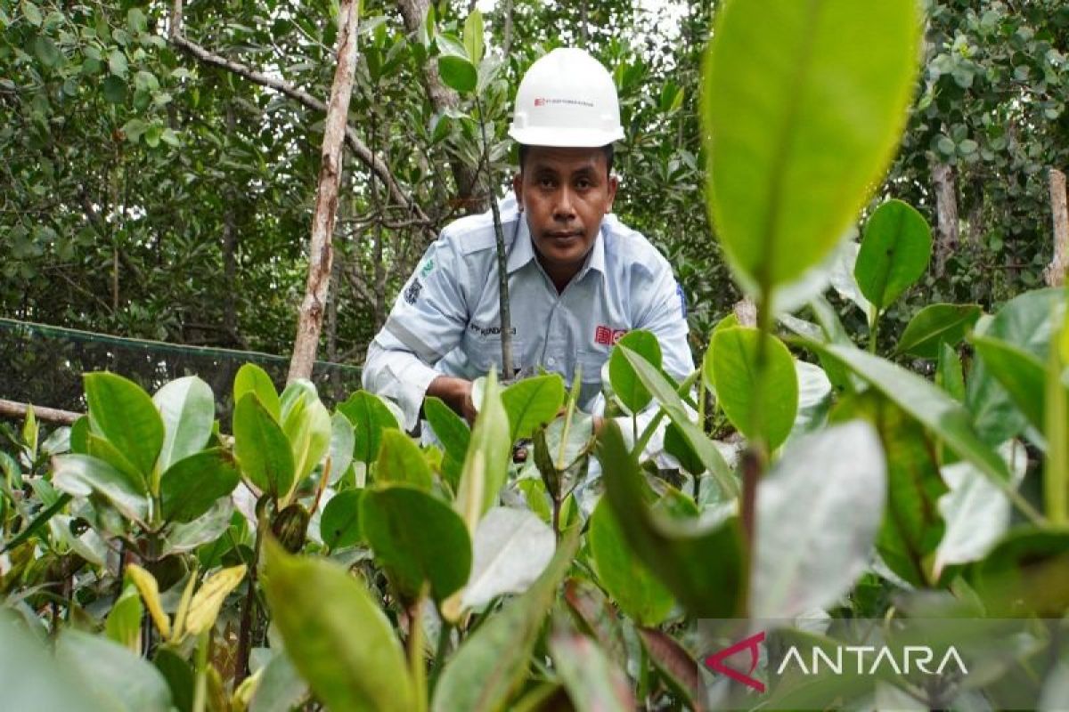 PT.DSSP Power Kendari inisiasi mitigasi dan adaptasi perubahan Iklim