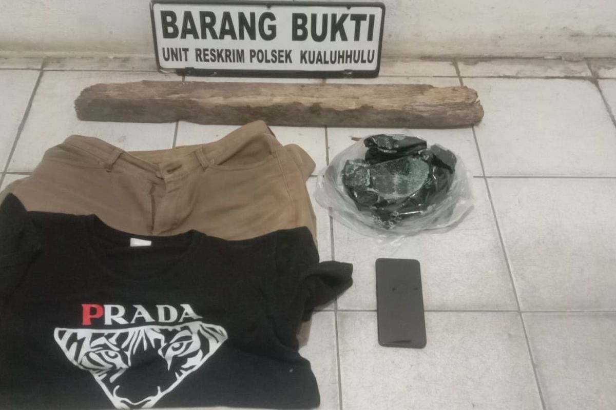 Polsek Kualuhhulu tangkap pelaku curas di Damulikebun