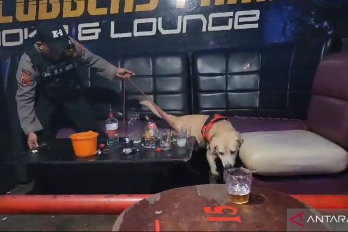 Polisi Jambi gunakan anjing pelacak temukan narkoba di kelab malam