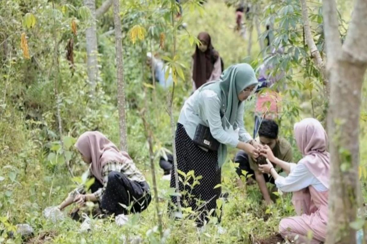 Program Cofiring Biomassa PLTU menggerakkan ekonomi masyarakat