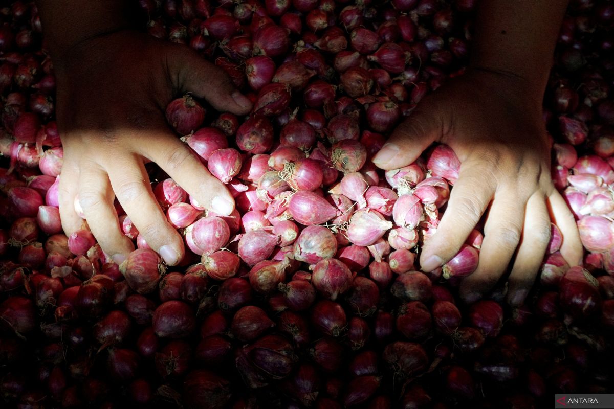 DPRD Surabaya sarankan pemkot tingkatkan kerja sama tekan harga bawang merah