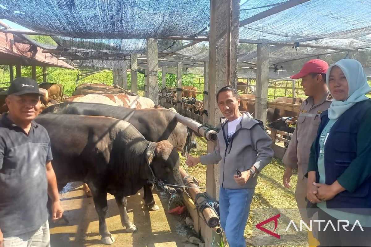 Bupati Gorontalo ingin meningkatkan pengiriman sapi ke Balikpapan