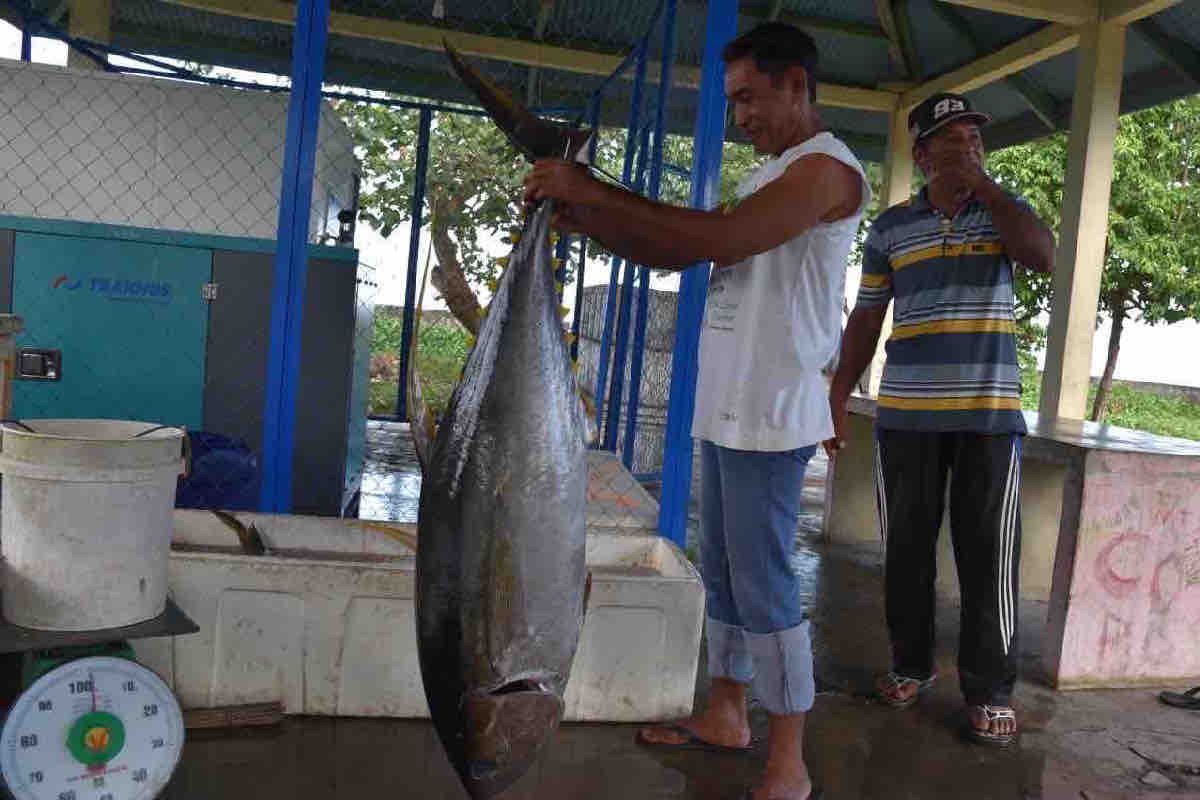 KKP dan Pemda Morotai antisipasi puncak musim tuna