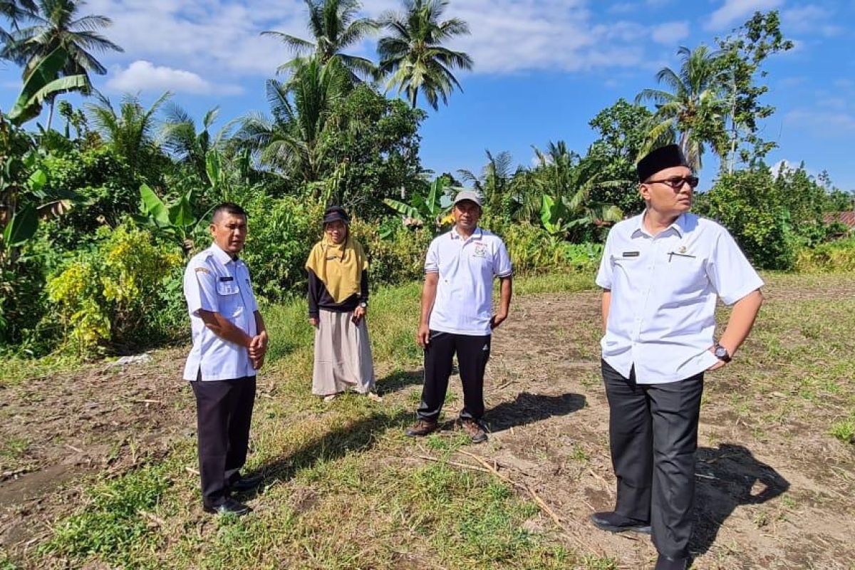 Produksi jagung Januari-April di Pasaman Barat 78.564 ton