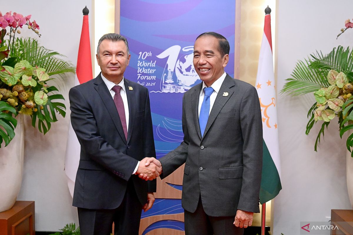 Jokowi, Tajik PM explore water management cooperation