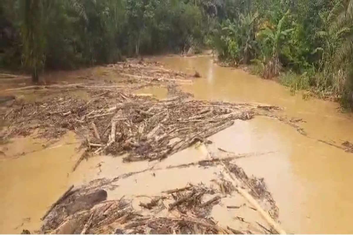 Walhi sebut Sungai Singgersing tercemar akibat pembersihan perkebunan sawit