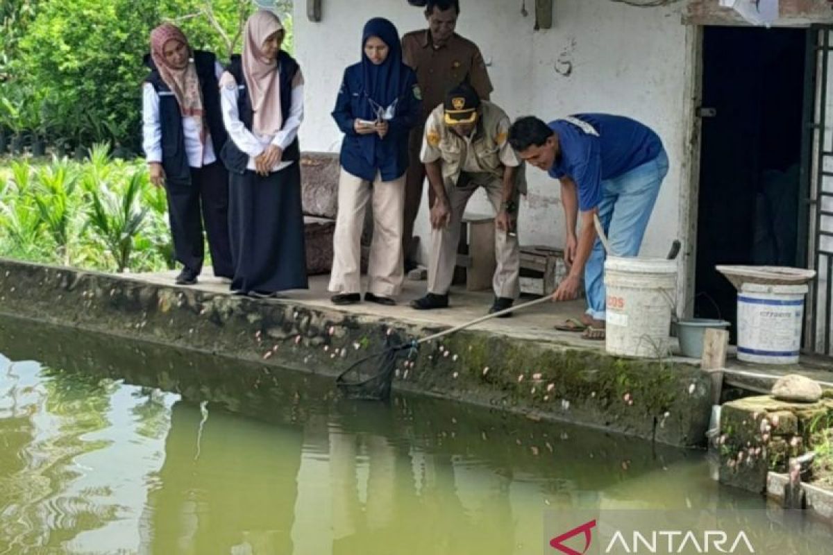 Balai Karantina Sumsel  cek penyakit ikan tahap I di Lubuk Linggau