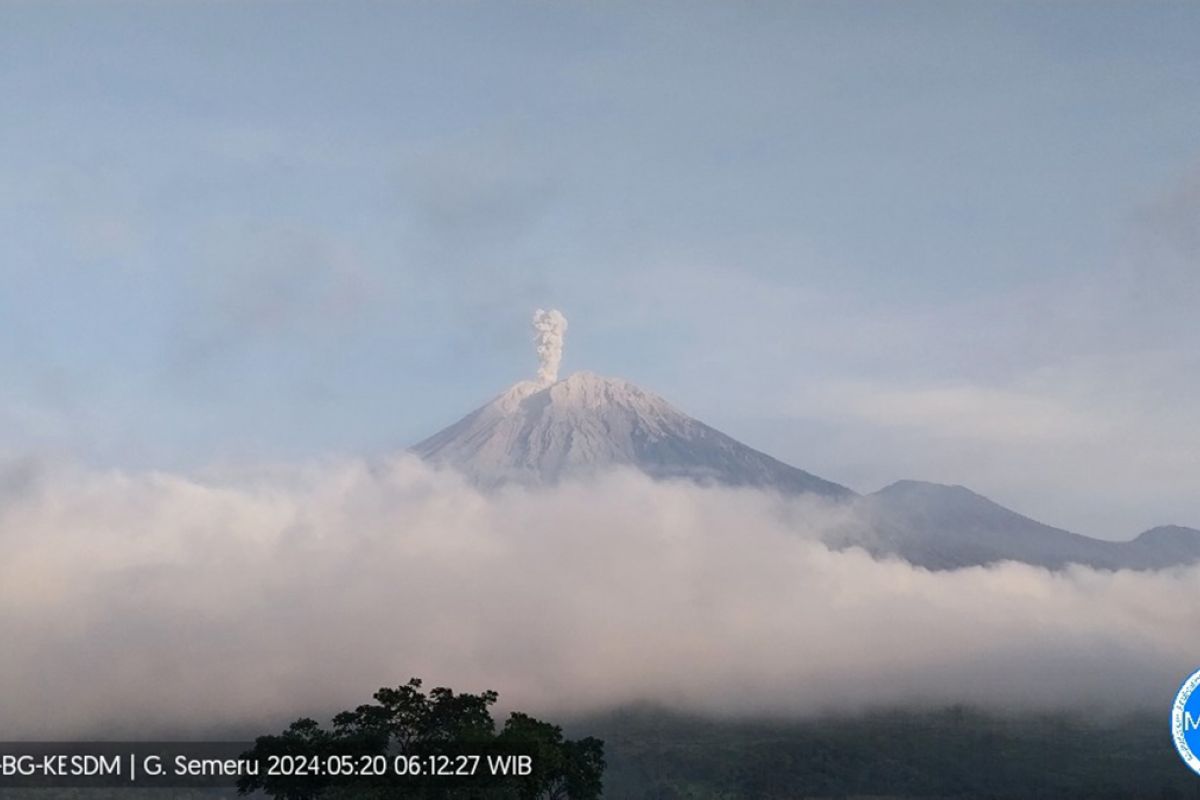 Semeru alami erupsi lontarkan abu vulkanik setinggi 800 meter