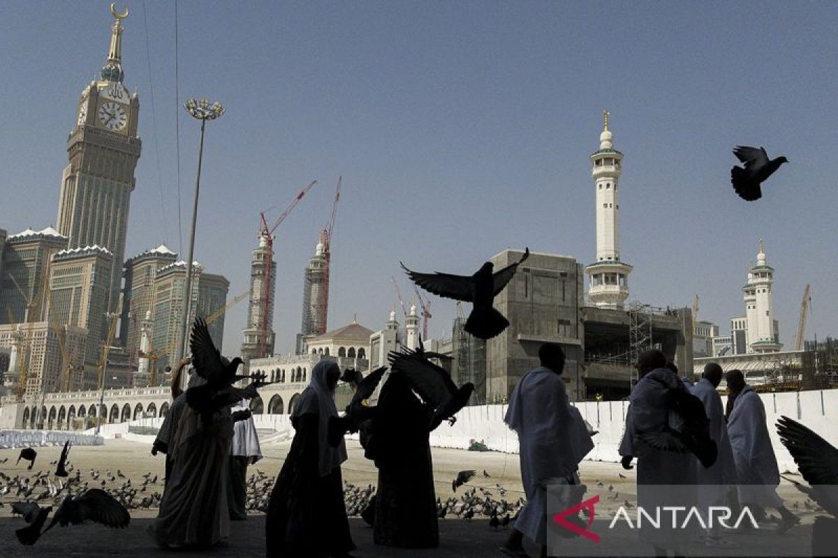 Memaknai  kehadiran merpati di dua masjid suci